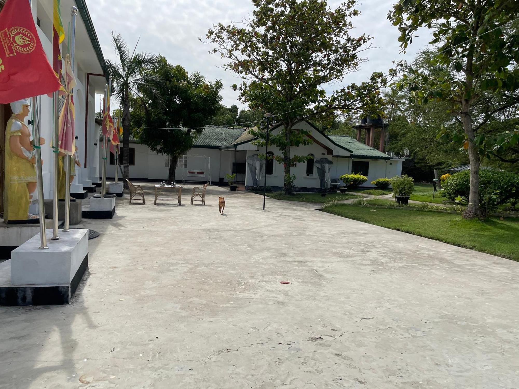 King'S Island Resort 尼甘布 外观 照片